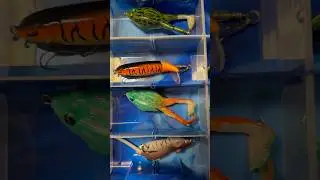 BASS Fishing | Which One Is Finna Get It Today?  #Fishing #Shorts #Subscribe #Like #bass