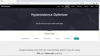 Tuning Spring PetClinic JPA and Hibernate configuration with Hypersistence Optimizer