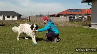 Trükk Suli 1. rész: Criss-cross tanítása