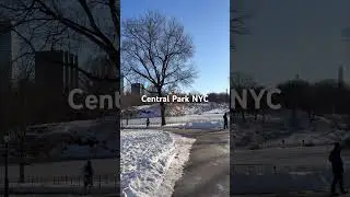 After Snow Storm NewYork City/ #nyc #1millionviews #snowstorm #manhattan #centralpark #viralshorts