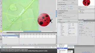 Flash Filters for Lighting and Depth Effects