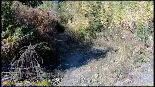 старый ж д переезд на окраине пгт верхнячка