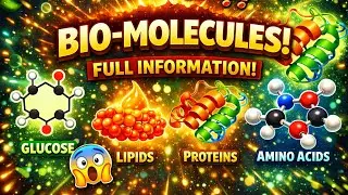 Biomolecules One Shot NEET 2026 🧬 | Full Chapter | NCERT Line by Line|#neet2026 