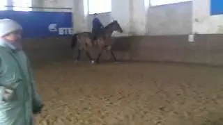 Видео0002