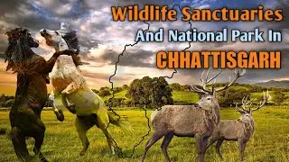 Wildlife Sanctuary in Chhattisgarh, National Parks in Chhattisgarh | Achanakmarg, Indravati, Udanti