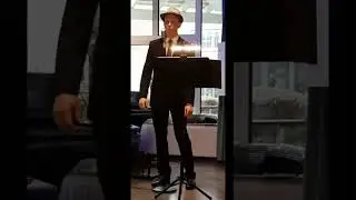 Come Fly With Me - Live Cover by Robert Twamley