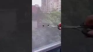 Window screen repair tape#gadgets #gadget #coolgadgets #goodthing #goodthingsinlife #training #fyp