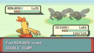 Pokemon Emerald - Part 64: Route 115