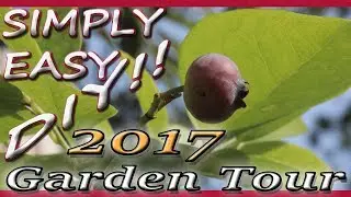 2017 Garden Tour - Simply Easy Homesteading