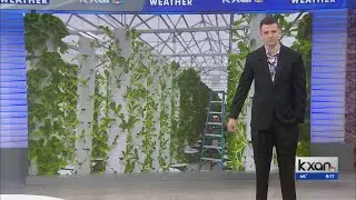 Texas farm uses aeroponics to grow 10-times more produce than they normally could