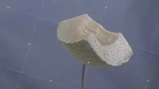 Melon rotating with loop on blue screen for chroma key