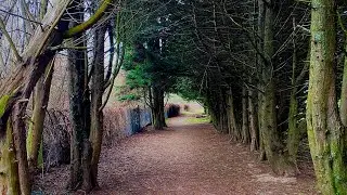 WALKS IN KENT | ALLINGTON TO AYLESFORD