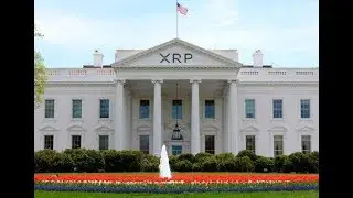 7.3% XRP Interest, Ripple White House Connections And Holochain Future