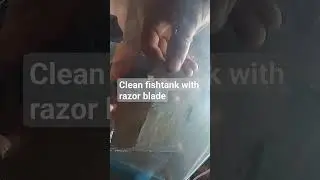 clean fish tank with razor blade