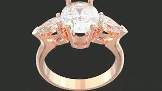 The Regal Rose and Diamond Animation