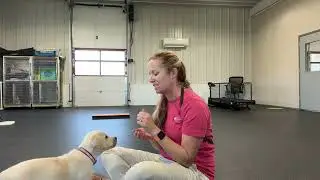 Decision Making with Distractions