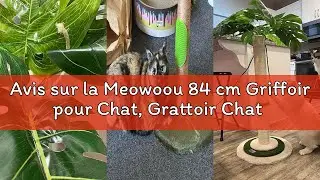 Avis sur la Meowoou 84 cm Griffoir pour Chat, Grattoir Chat d'intérieur Adultes et Chatons, Grand Gr