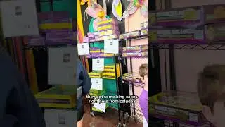 Where to get the best king cakes in New Orleans!