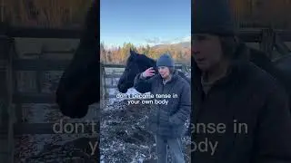 Пугает лошадь? Как реагировать и сохранять спокойствие, а не держать напряжение. 👻#расслабление #...