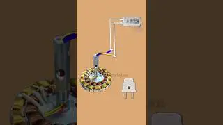 How to Ceiling Fan Wiring Demo | #shots #fanconnection