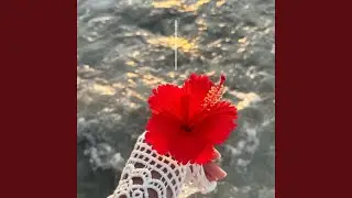 Como flored