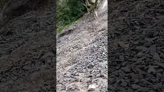 #pahiro