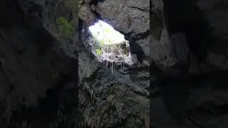 Cenote Suytun Valladolid Mexico