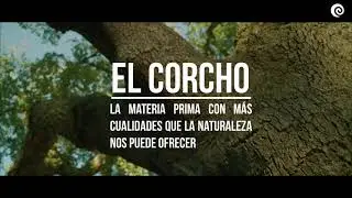 Isolcork Corcho Proyectado 2021