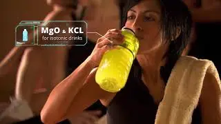 ICL Industrial Activities