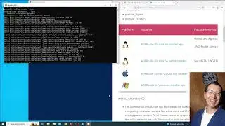 Instalando WSL (Windows Subsystem in Linux) en Windows 10 + ADFR docking
