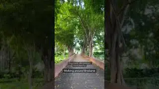 Must Visit Places in Brisbane Australia I Explore Australia | City Botanic Gardens