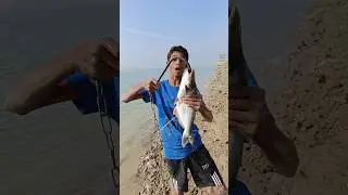 River Monster Fish Catch Using Big Fish Hook Bait #fishing #hook #fishbait #fishinglife #riverside