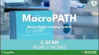 MacroPATH - Macro Digital Imaging System - C-SCAN - How it works