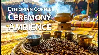 Ethiopian Coffee Ceremony Ambience