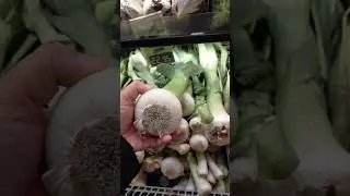 SATISFYING||GIANT IMPORTED LEEKS #shorts #leeks #trending #satisfying