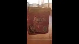 don&acute;t like whiskas