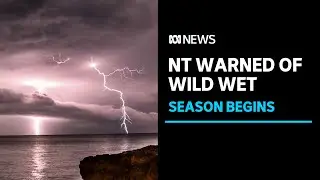Cyclones, stingers and flooding on the cards for the NT this wet season l ABC News
