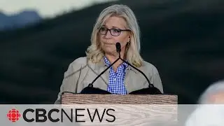 Trump critic Liz Cheney loses Wyoming primary