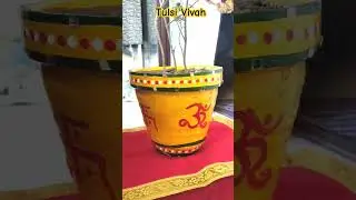 Tulsi Pot Decoration ideas/tulsi pot painting/Tulsi Vivah #tulsivivah #tulsipaint #tulsipot