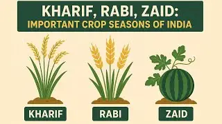 &ldquo;Kharif, Rabi, Zaid: Important Crop Seasons of India&rdquo;