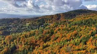 dynamic aerial capture of vibrant autumn landscape featuring distant town and layered terrain