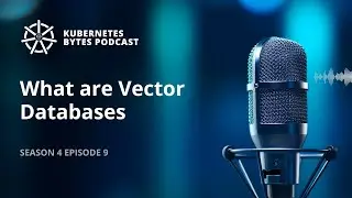 What are Vector Databases