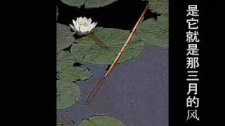 齐豫  三月的风
