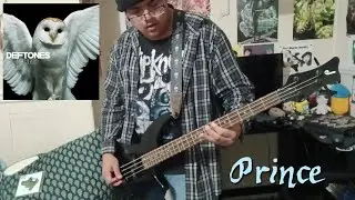 Deftones: Diamond Eyes 