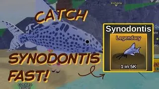 Secret Legendary Method &ndash; Catch Synodontis FAST in Fish It Roblox! How to Catch Synodontis