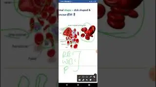 Erythrocytes/ Red blood cells ll blood part - 03