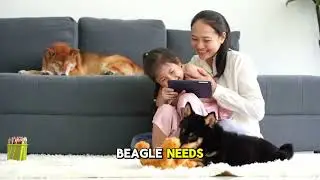 Why Beagles Are the Perfect Family Dogs