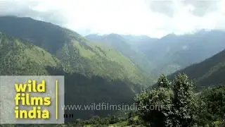 Hills, greenery and waterfall en route Homkund - Nanda Devi Raj Jat Yatra