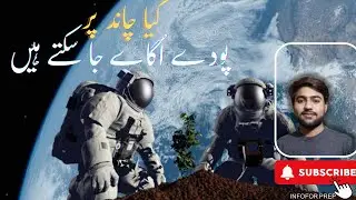 Moon Plantation: A new era of agriculture/plantation on moon/space plantation/plant life on moon