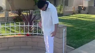CNOTEBENJAY - HANDLING BUSINESS